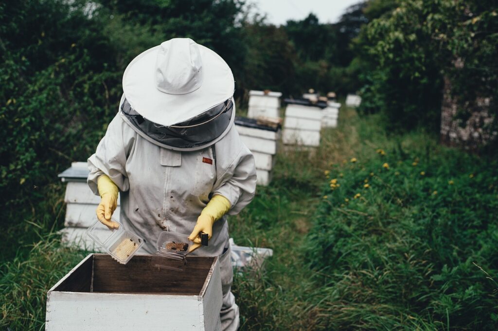 Best Honey Harvest Farm