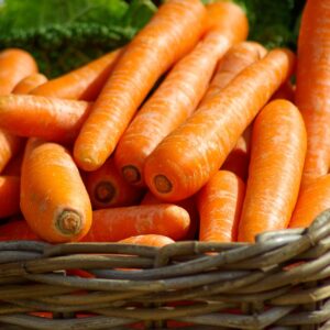 Organic Carrot