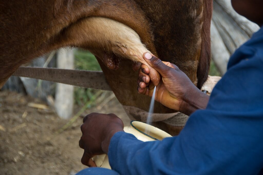 About Milk and Honey Organic Farming 