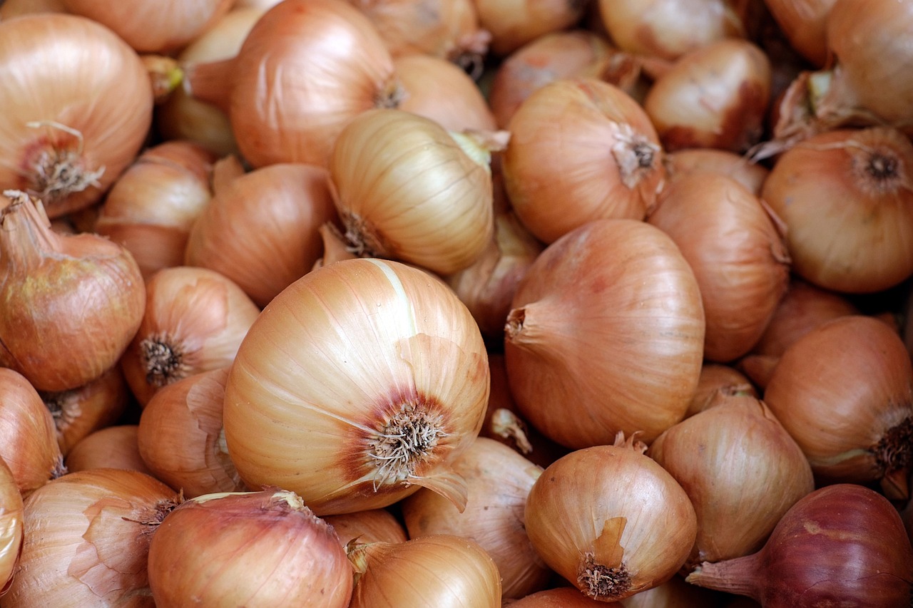 Organic Onion