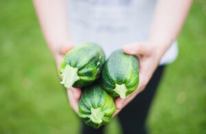 Organic Farming In India